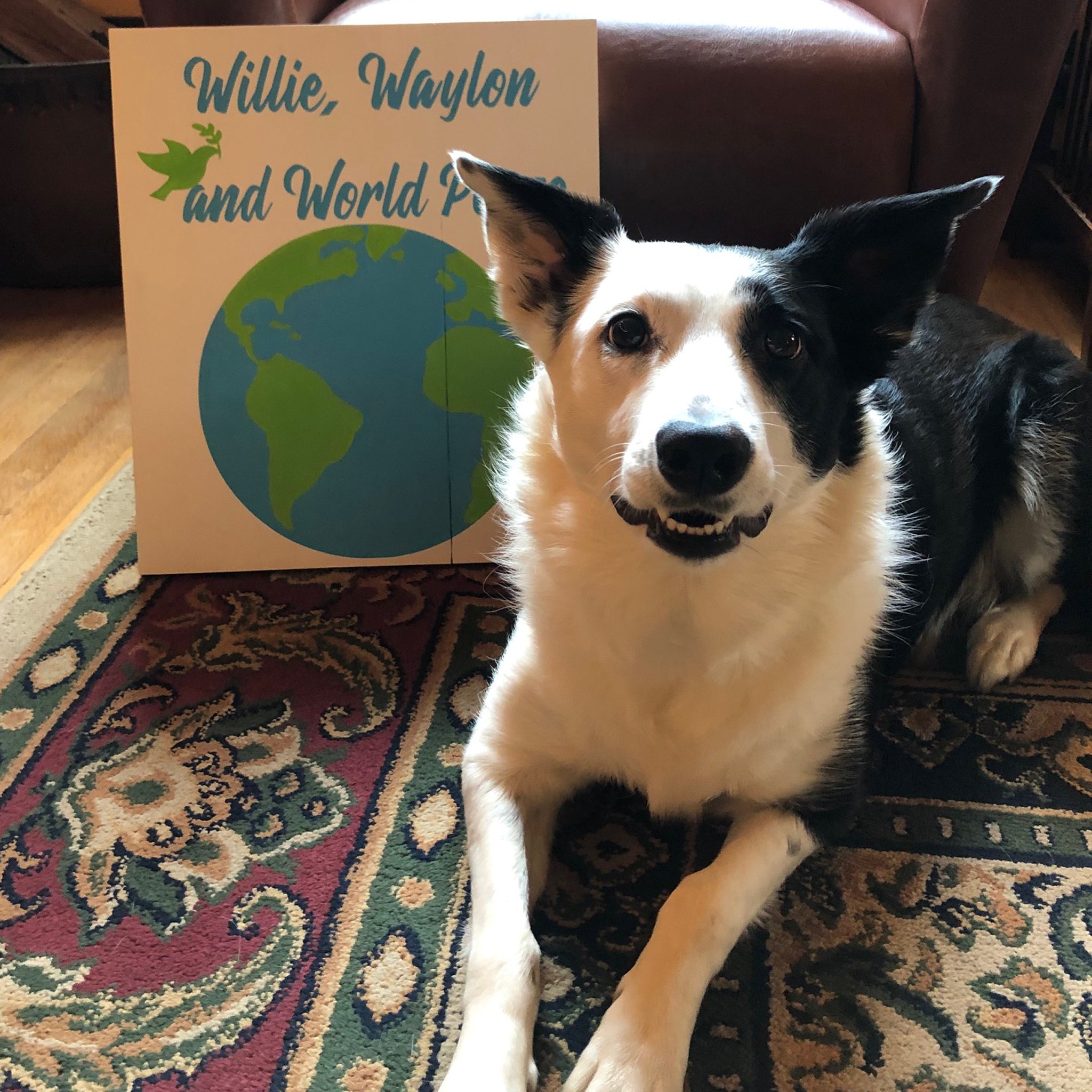 Willie, Waylon and World Peace Hand Painted Wooden Sign